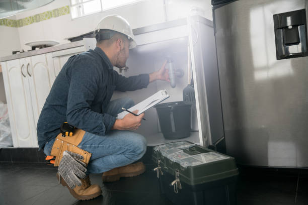 Best Leak Detection Services  in Chelsea, MI