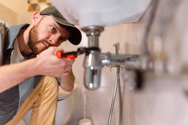 Best Plumbing Inspection Services  in Chelsea, MI
